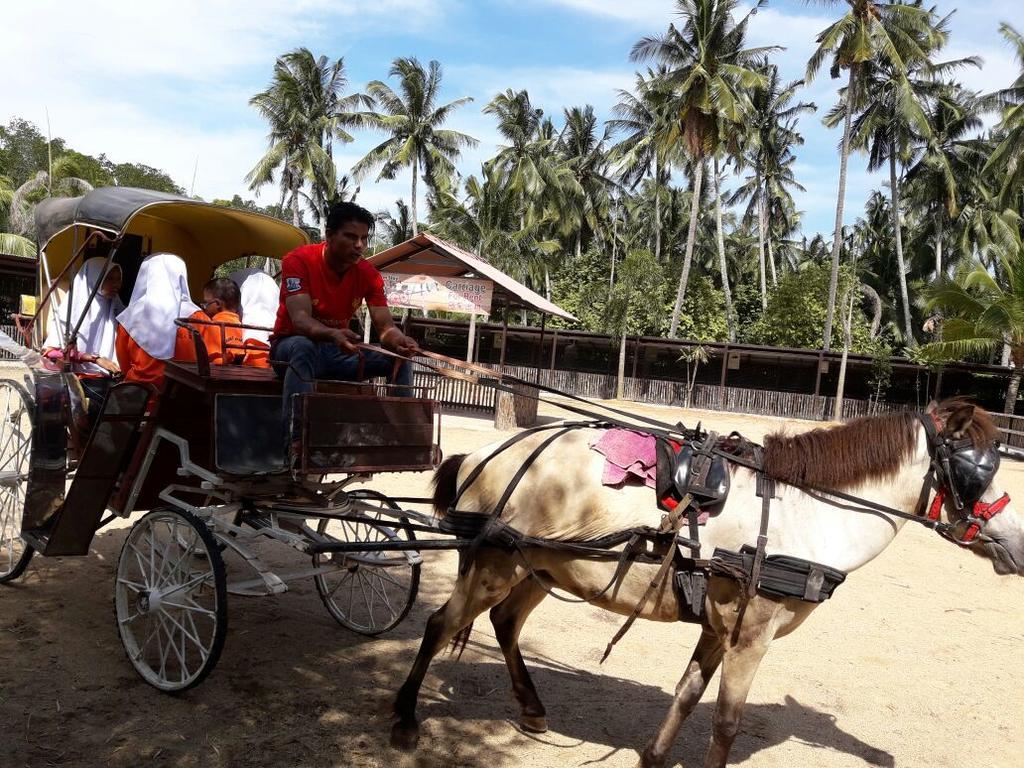 Hs Farm Waterpark Hotel มัวร์ ภายนอก รูปภาพ